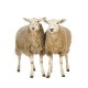 Pienso ecológico ovejas mantenimiento (1015 kg)