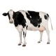Pienso ecológico vacas (1015 kg)